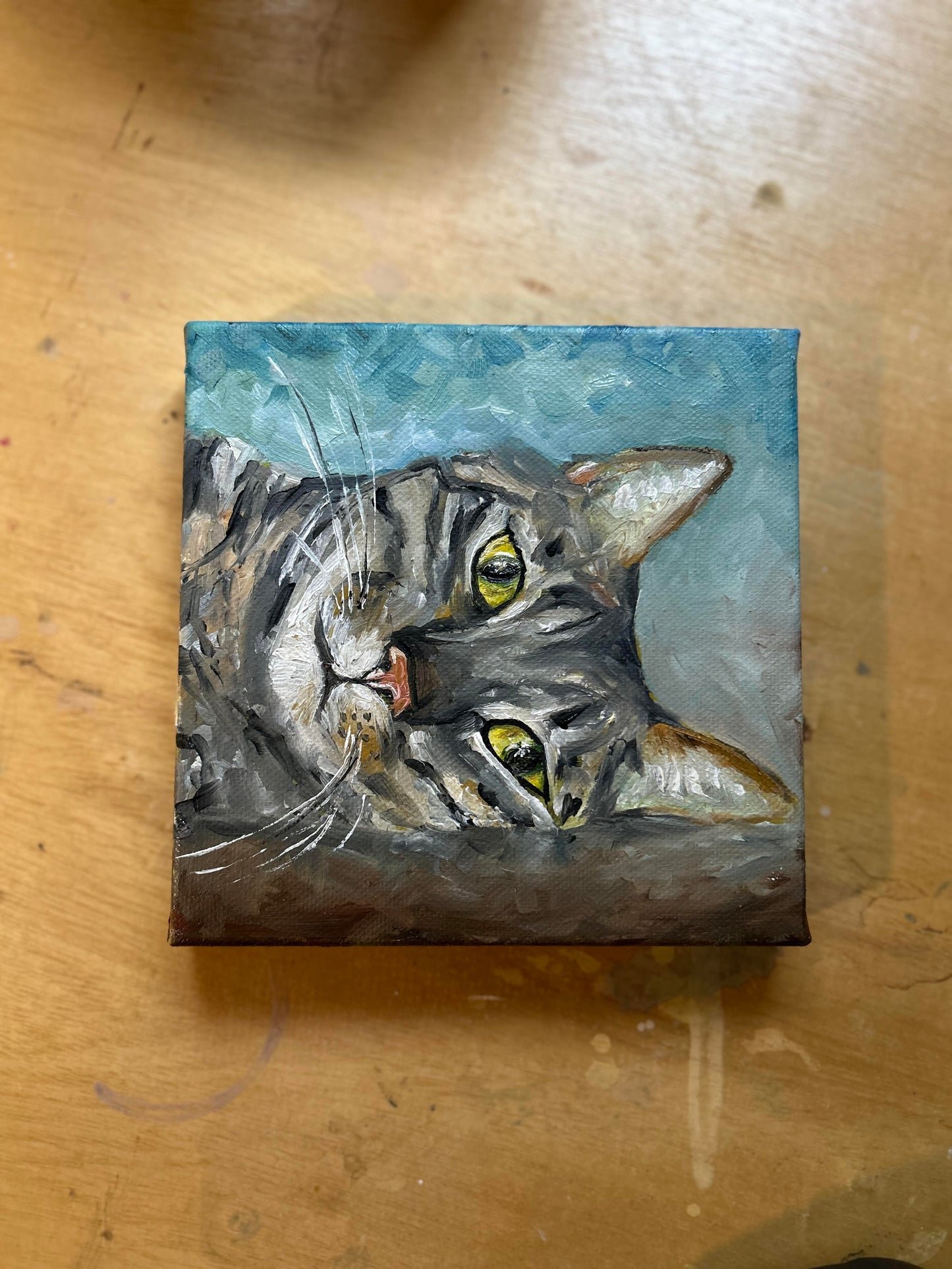 Lounging Tabby