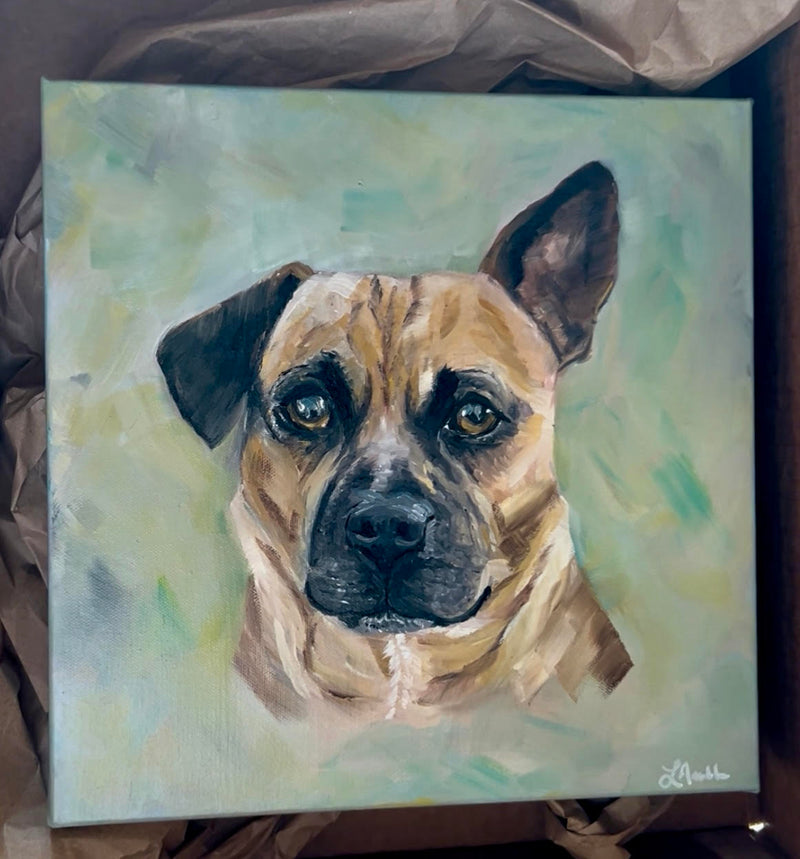 12 x 12