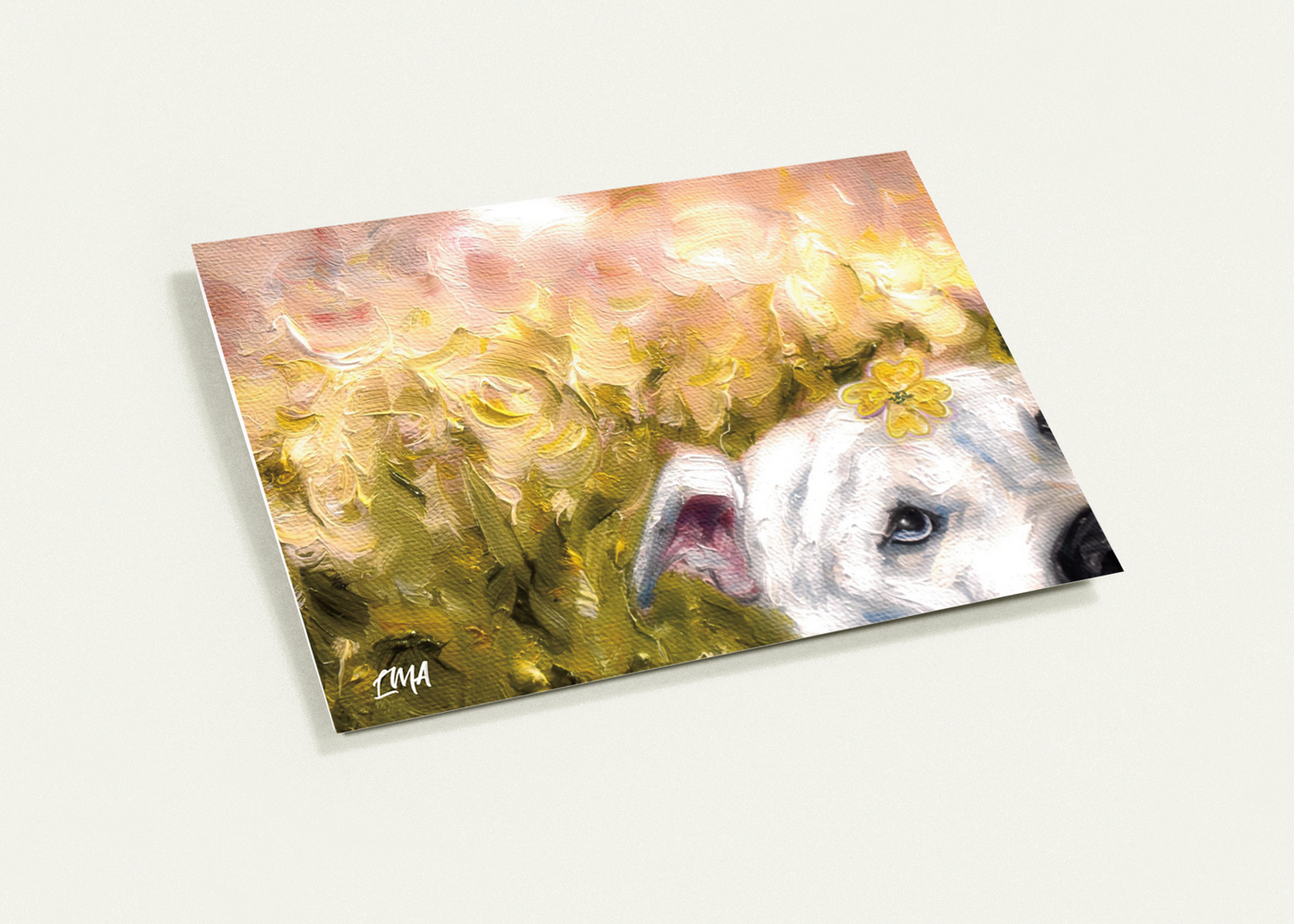 Greeting Card + Sticker Pack